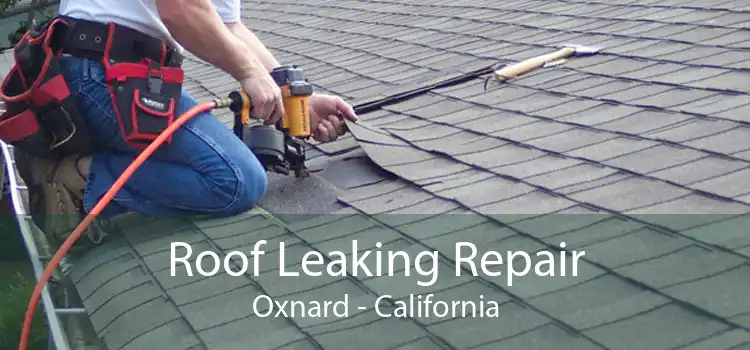 Roof Leaking Repair Oxnard - California